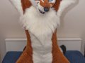 1266032405.junowolf_dsc_0005-2.jpg